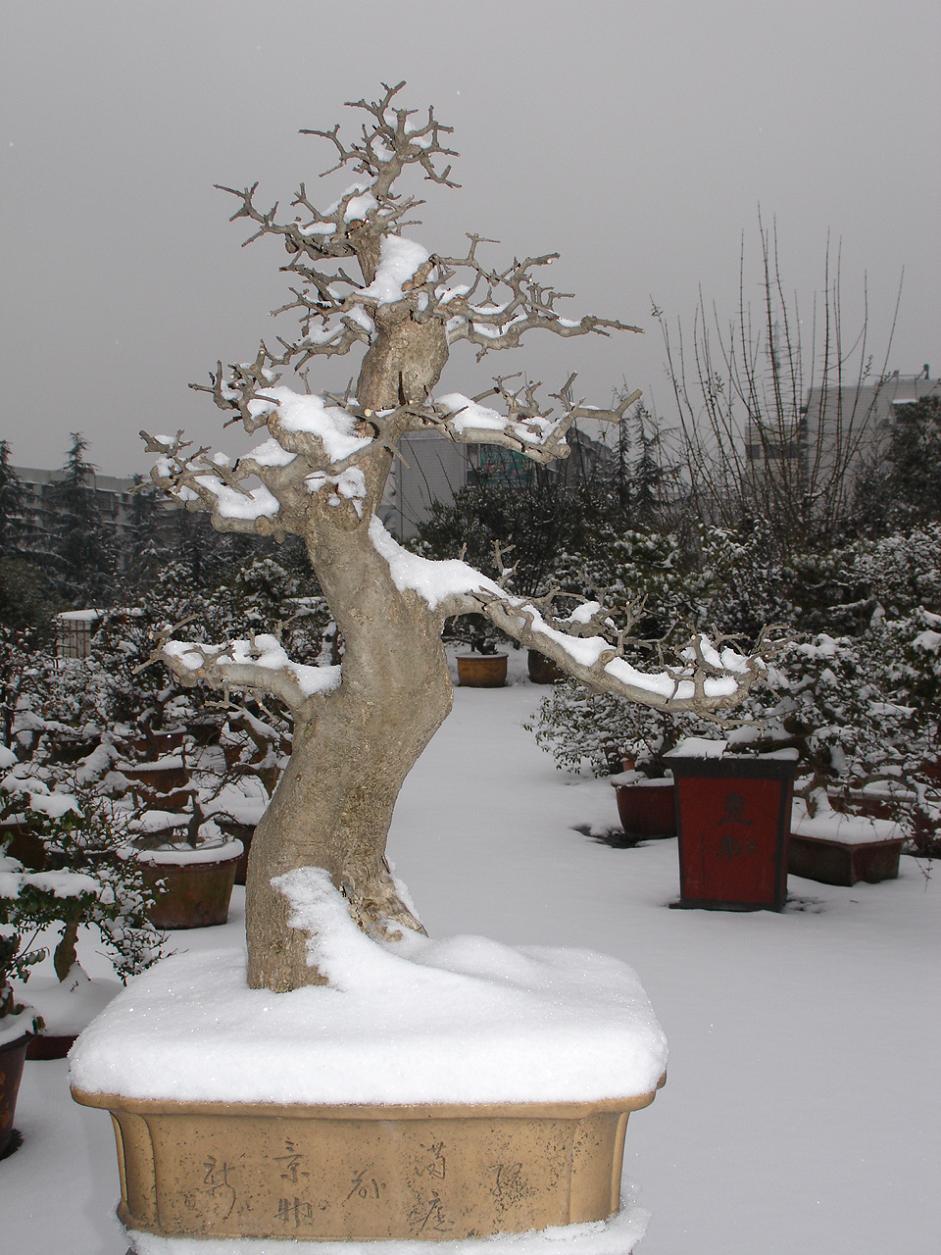 DSC00298.JPG