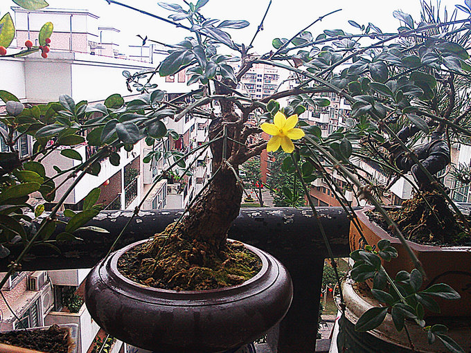 IMG0121102601.jpg