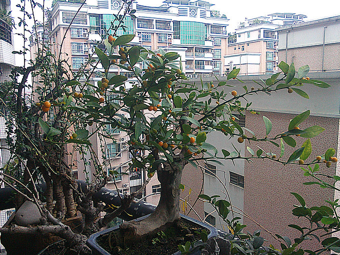 IMG1220123200.jpg