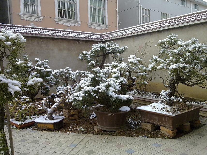 20120122099.jpg