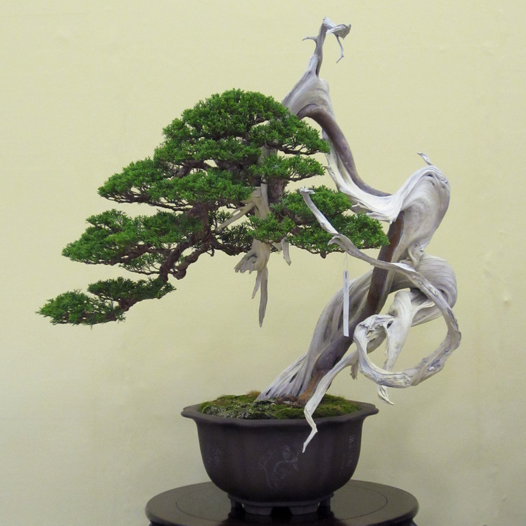 IMG0817-XL.jpg