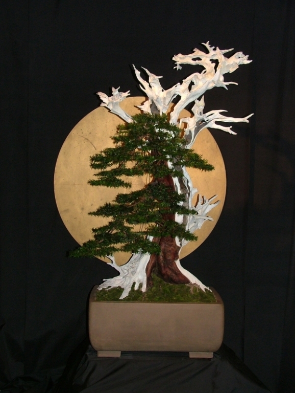 Noelanders Trophy VI 147.jpg