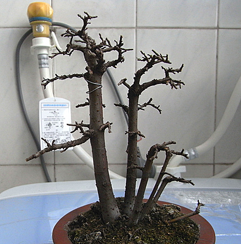 RIMG2454_.jpg