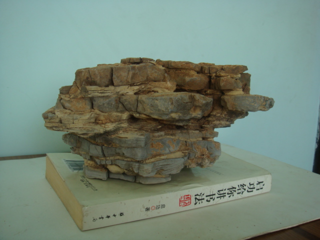 DSC06055.JPG