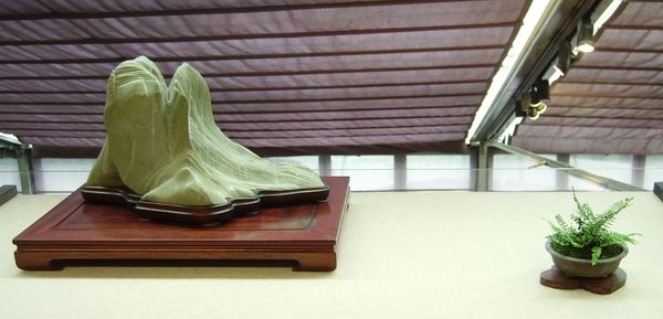 Crespi Cup 2008 064.jpg