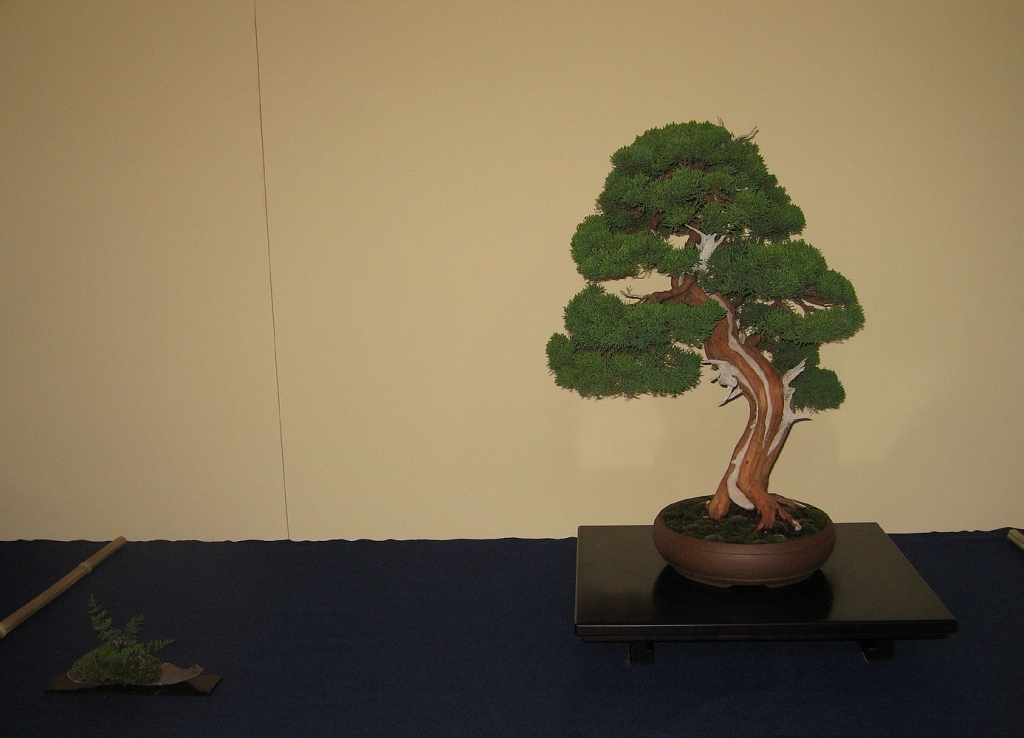 Sakka Ten 2008 013.jpg