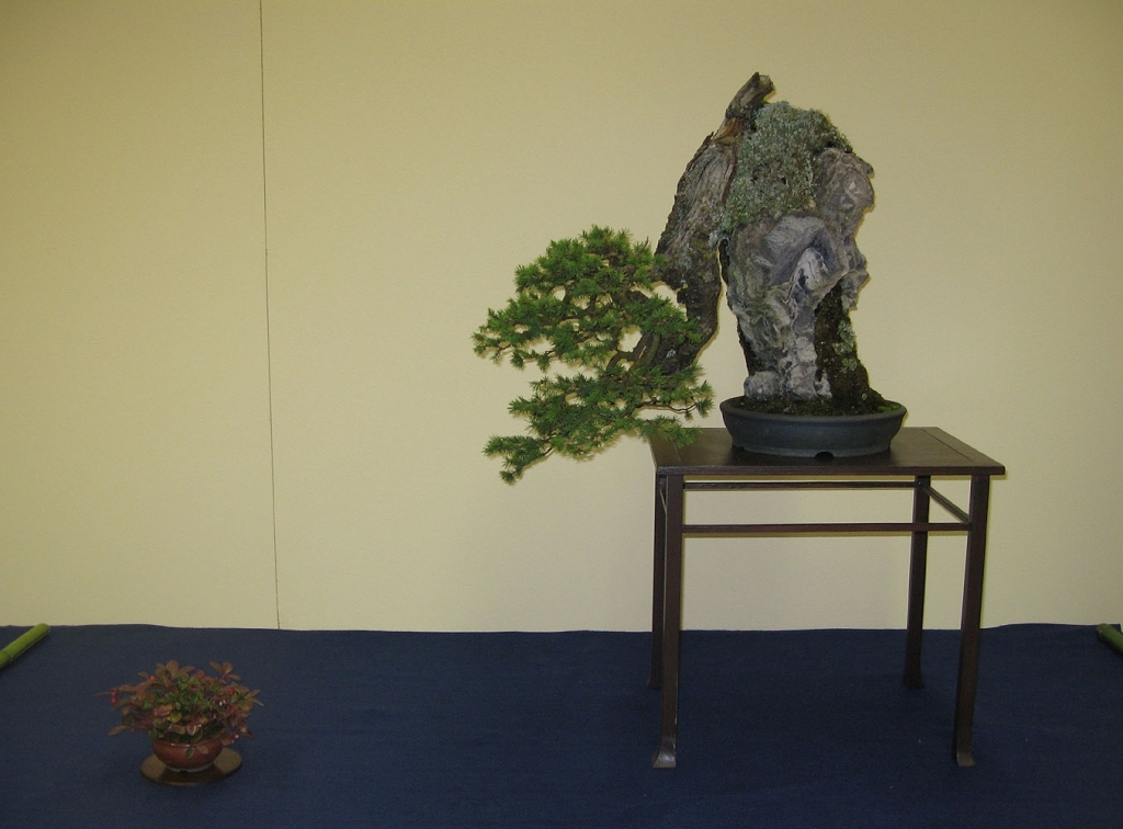 Sakka Ten 2008 020.jpg