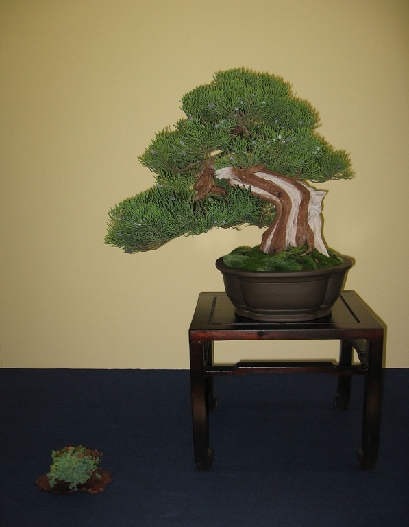 Sakka Ten 2008 028.jpg