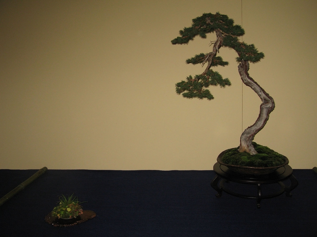 Sakka Ten 2008 030.jpg