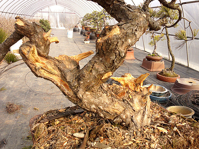 20120126470_.jpg