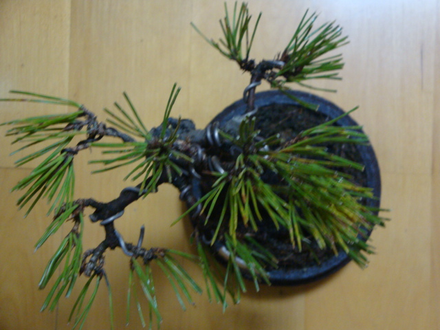 DSC07488.JPG