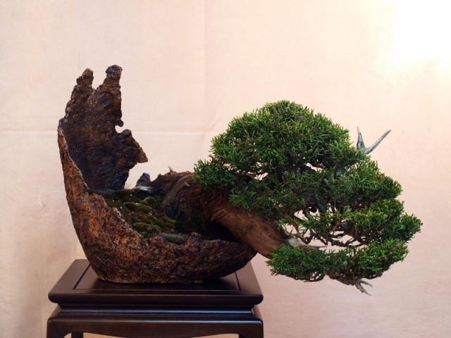 Giareda 2010 018.jpg