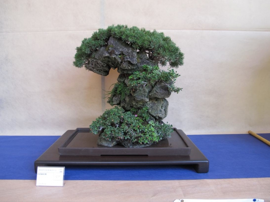 Giareda 2011 011.jpg