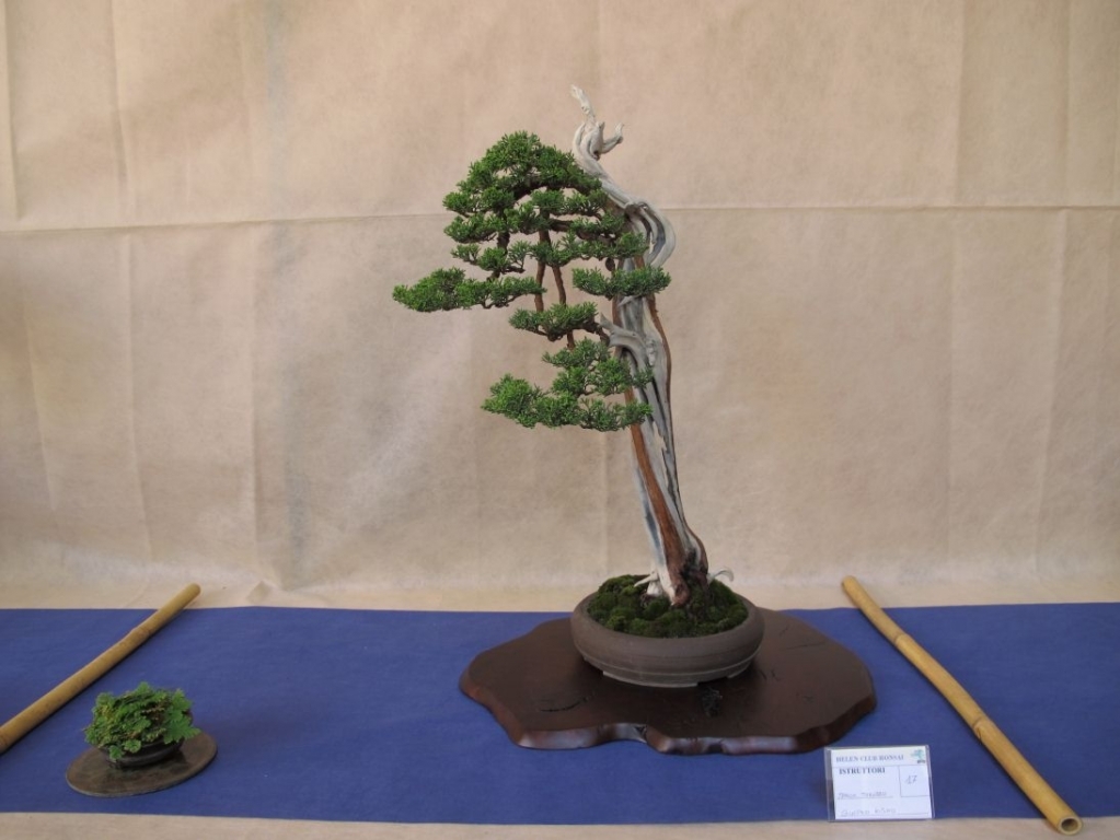 Giareda 2011 032.jpg