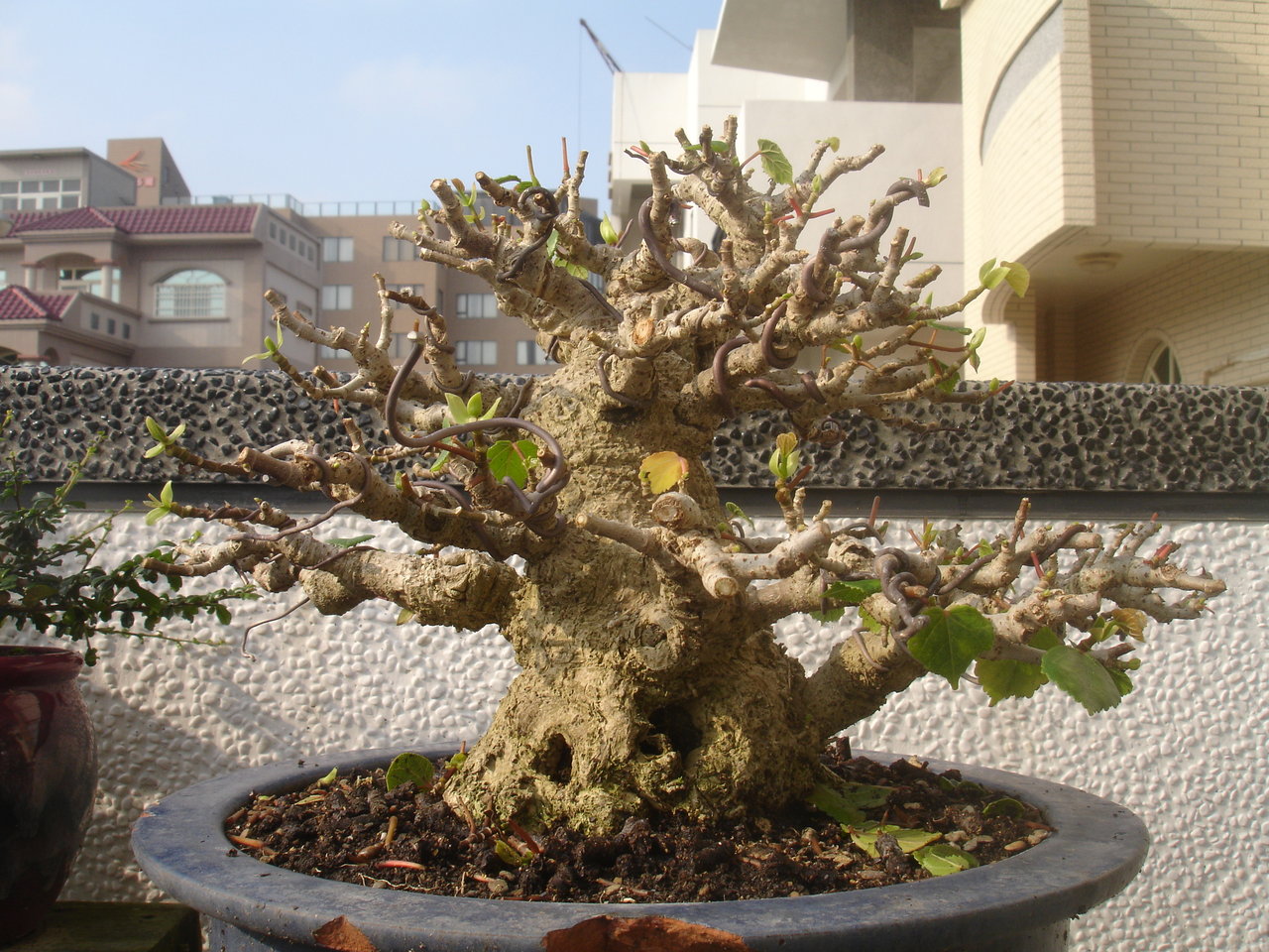 F23_20090415081857519.jpg