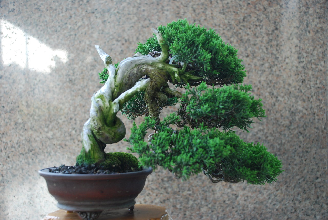 F23_20100514052443658.jpg
