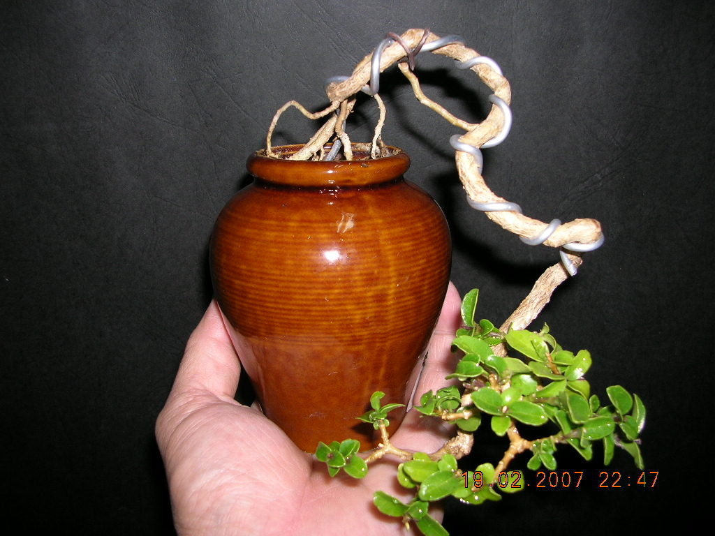 F23_20110117015430825.jpg