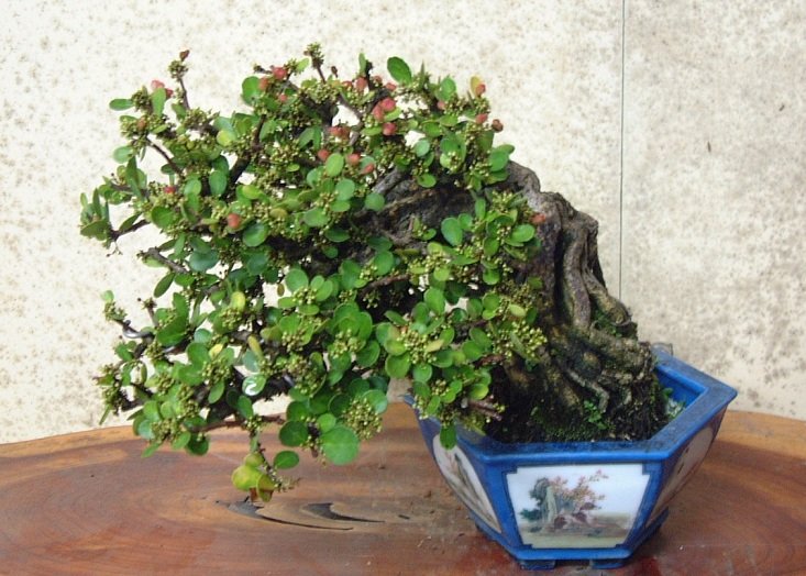 F23_20110826072650854.jpg