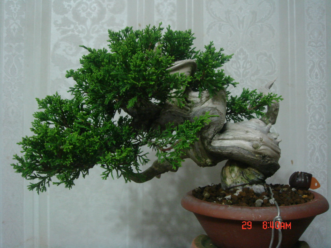 F23_20110828095420515.jpg