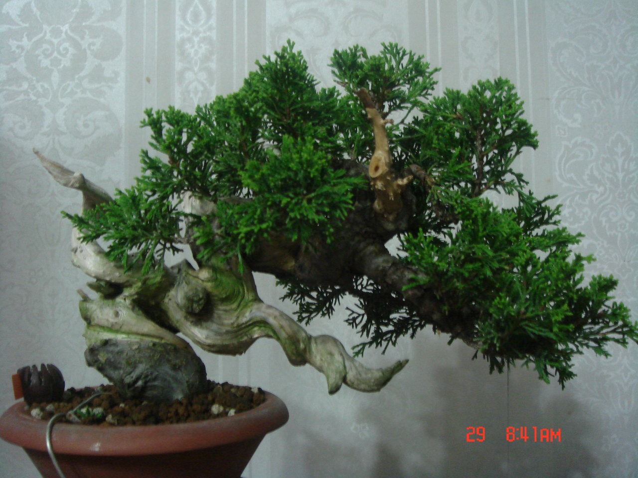 F23_20110828095510886.jpg