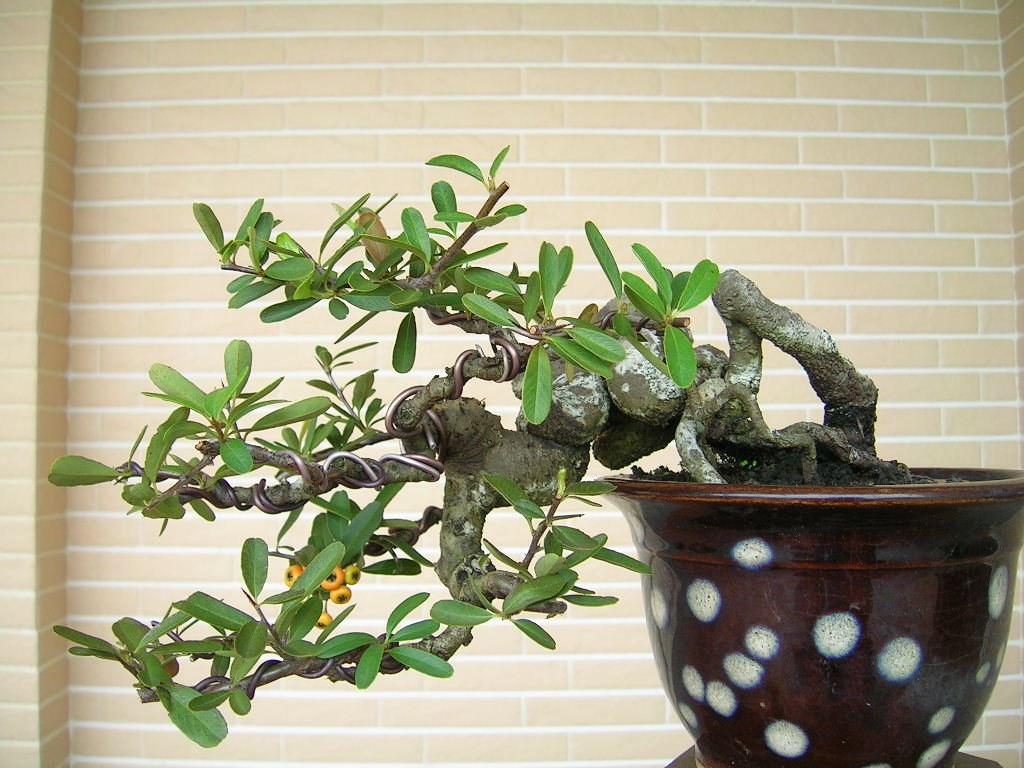F23_20101020102818677.jpg