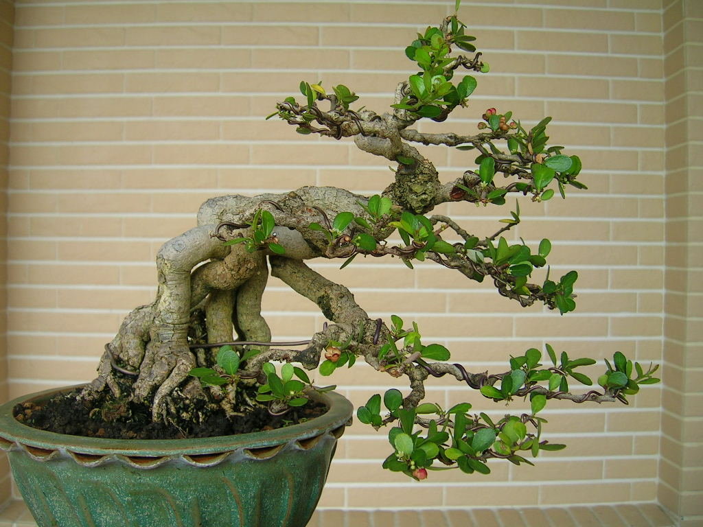 F23_20101020103027181.jpg