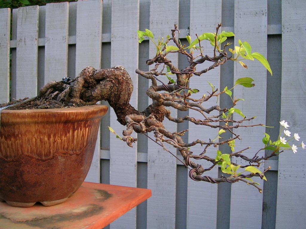 F23_20101029071927418.jpg
