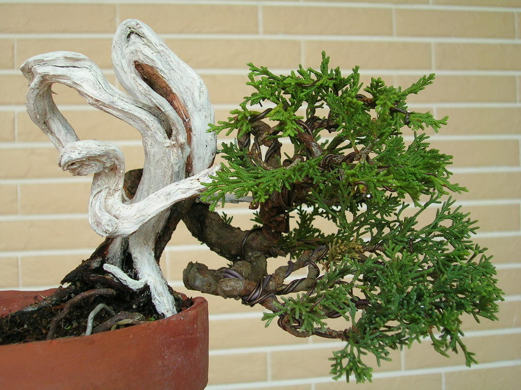 F23_20101111065124768.jpg