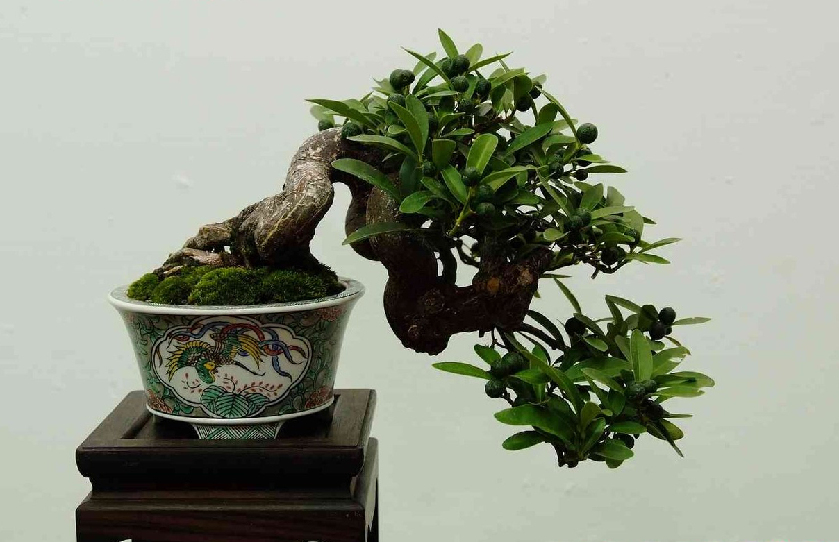 F23_20091006113446297.jpg
