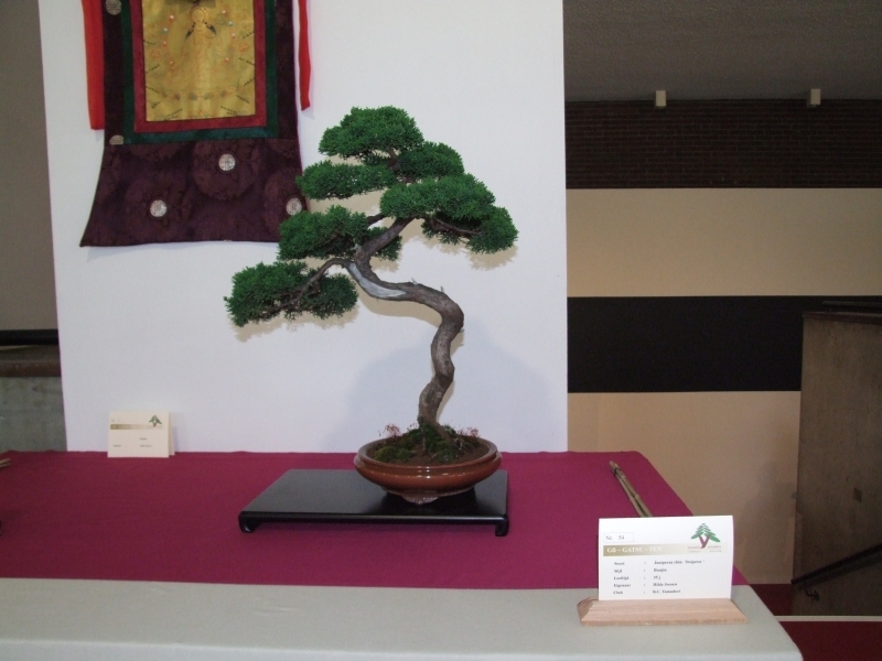 Go-Gatsu Ten 2008 002.jpg