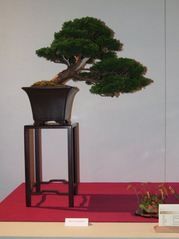 Go-Gatsu Ten 2008 018.jpg