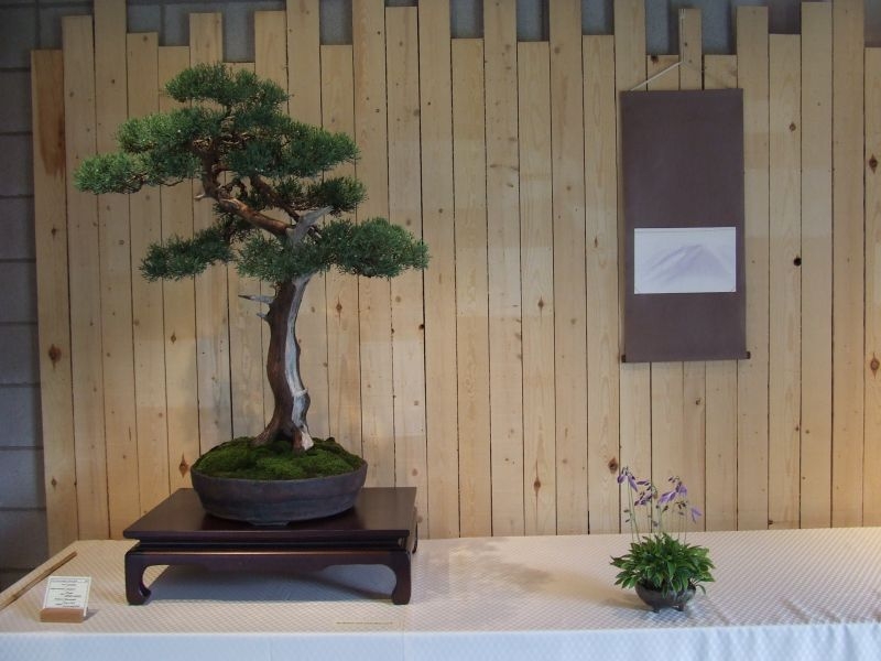 Ikeda 24-06-2007 008.jpg