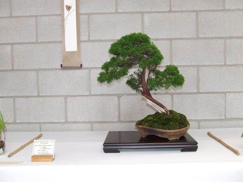 Ikeda 24-06-2007 035.jpg