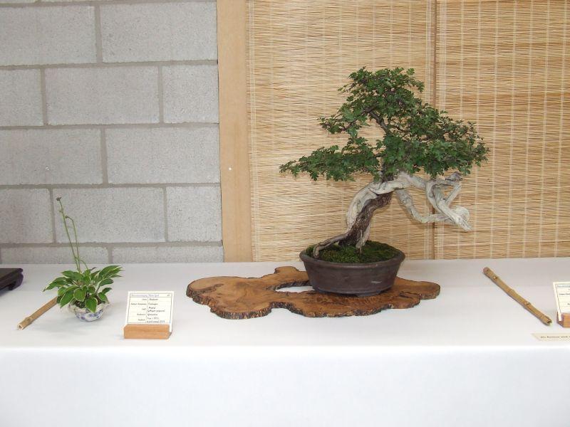 Ikeda 24-06-2007 036.jpg