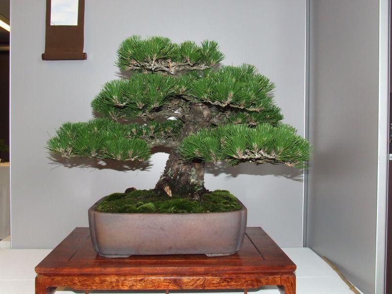 Ikeda 24-06-2007 076.jpg