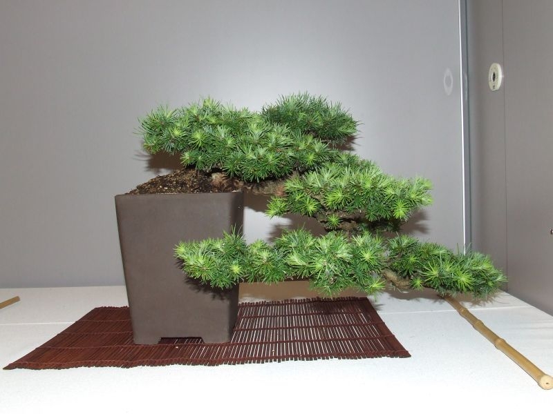 Ikeda 24-06-2007 106.jpg