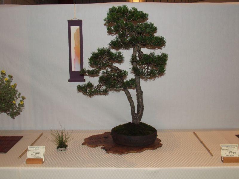 Ikeda 24-06-2007 110.jpg