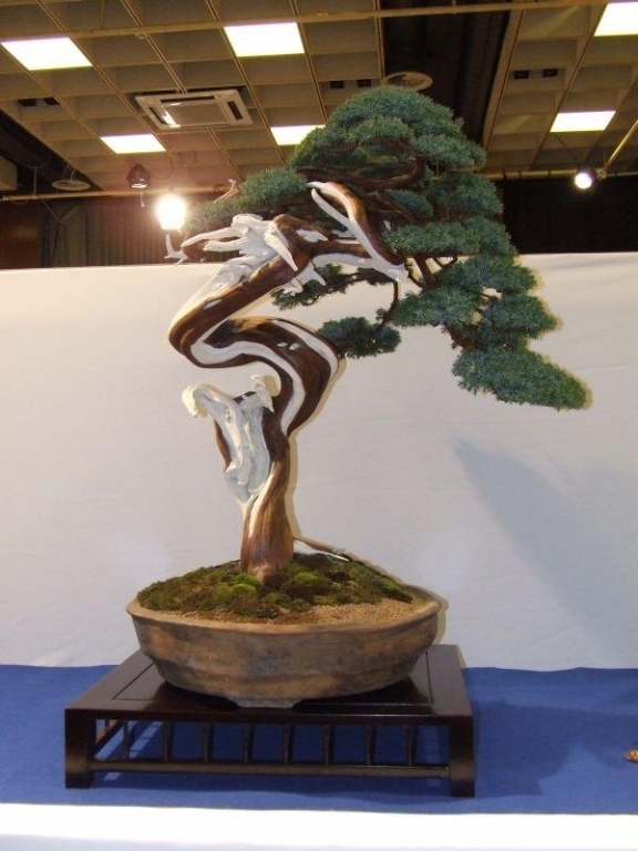 Noelanders Trophy IX 2008 (17).jpg