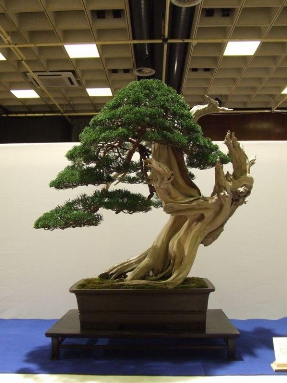 Noelanders Trophy IX 2008 (39).jpg