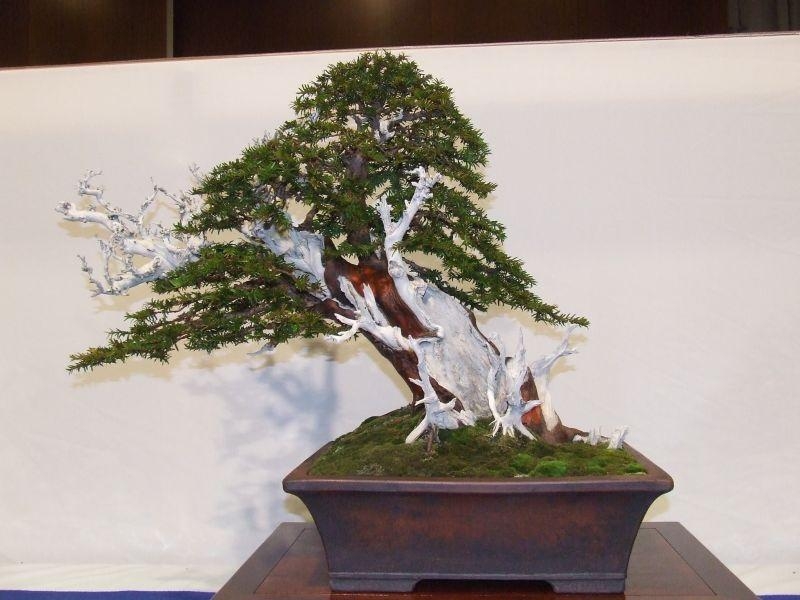 Noelanders Trophy IX 2008 (95).jpg