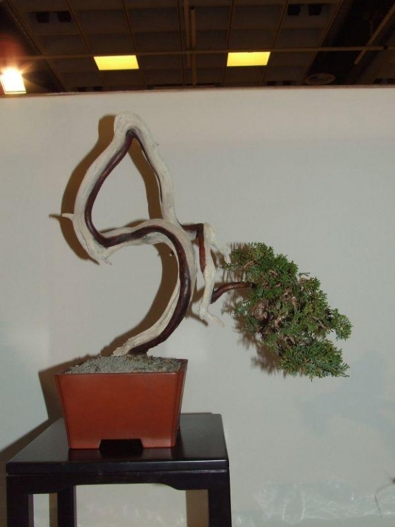 Noelanders Trophy IX 2008 (117).jpg