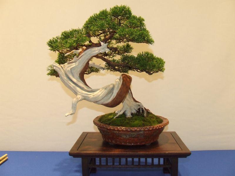 Noelanders Trophy IX 2008 (149).jpg