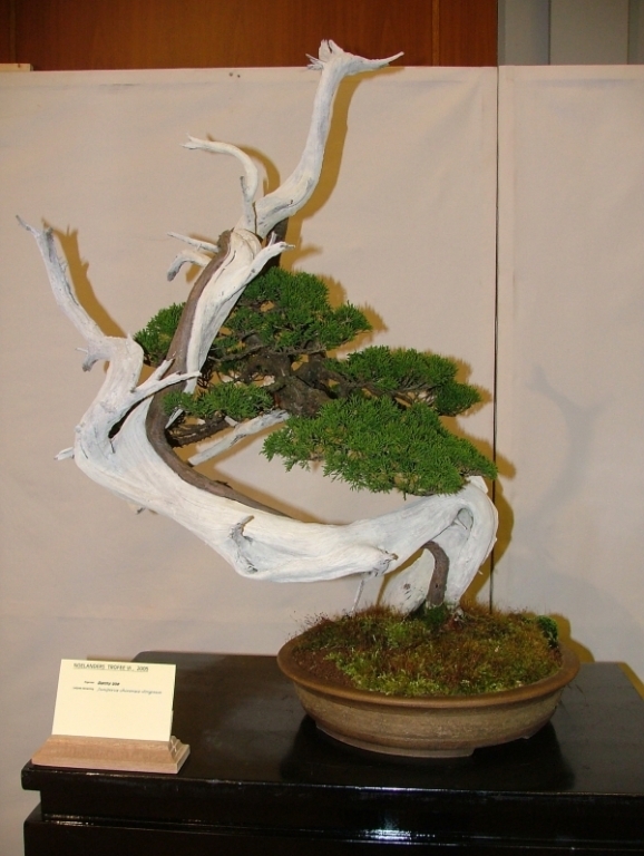 Noelanders Trophy VI 016.jpg