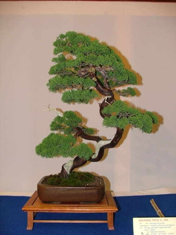 Noelanders Trophy VI 029.jpg