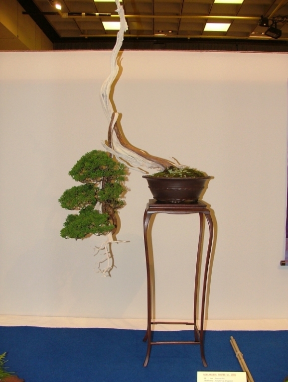 Noelanders Trophy VI 031.jpg