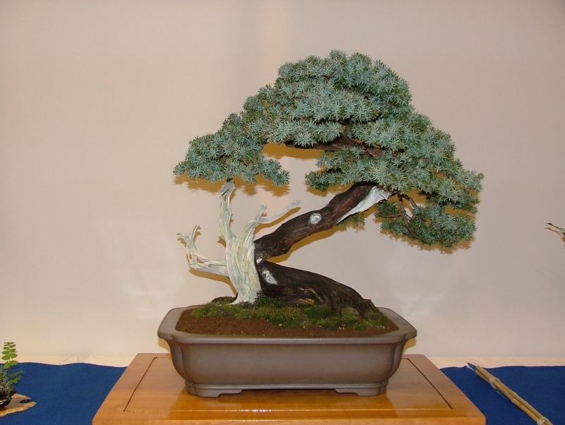 Noelanders Trophy VI 060.jpg