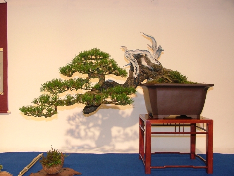 Noelanders Trophy VI 061.jpg