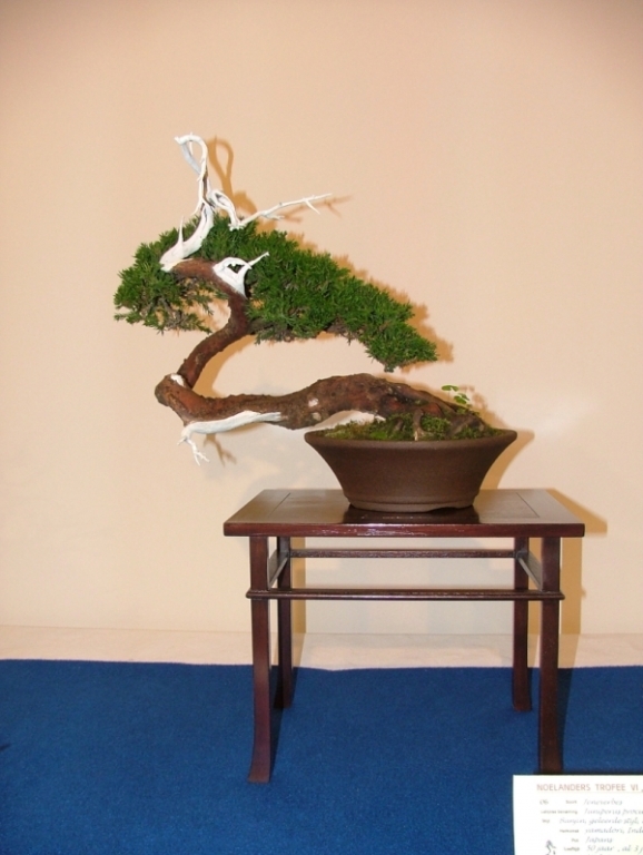 Noelanders Trophy VI 066.jpg