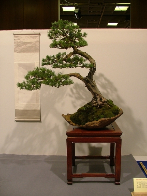 Noelanders Trophy VI 082.jpg