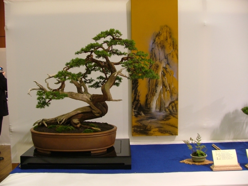 Noelanders Trophy VI 084.jpg